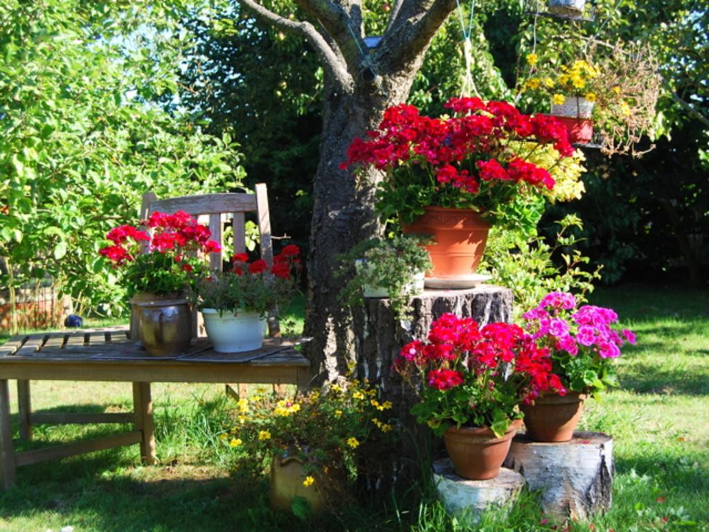 Ferienhaus Mit Garten Am Bodstedter Bodden Exterior foto