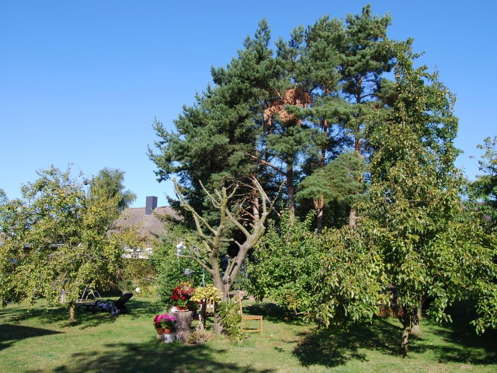 Ferienhaus Mit Garten Am Bodstedter Bodden Exterior foto